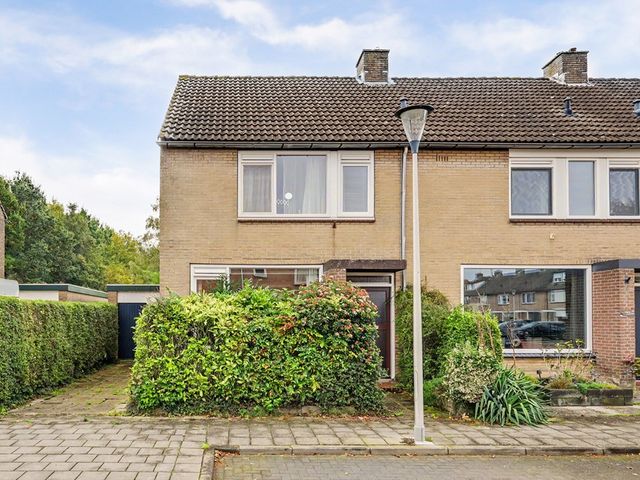 Troelstrastraat 12, Strijen