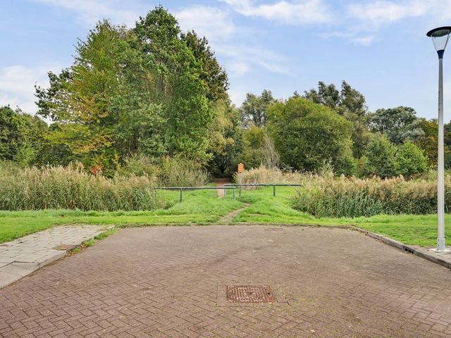 Troelstrastraat 12, Strijen