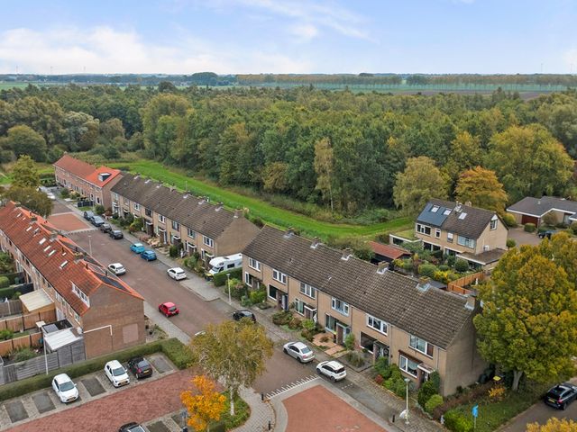 Troelstrastraat 12, Strijen