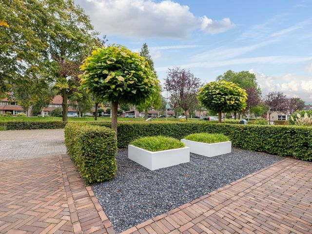 Kokmeeuw 21, 's-Hertogenbosch