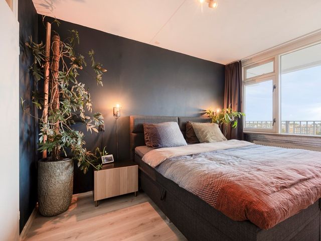 Arnold Spoelplein 71, 's-Gravenhage
