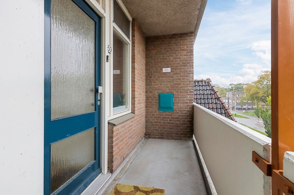 Noordsingel 50