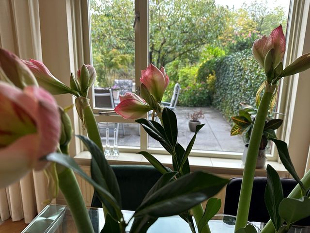 Rozentuin 59, Voorburg