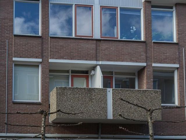 Rosmolensteeg 54, Gorinchem