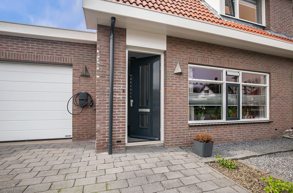 Tapijtschelp 10
