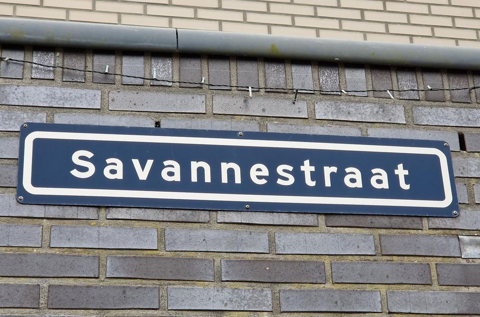 Savannestraat 15