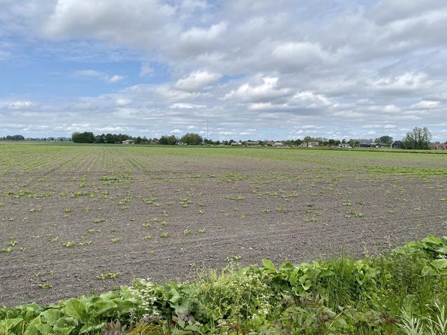 Franseweg 99a, Steenbergen