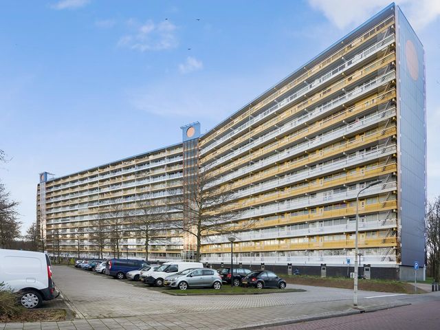 Pharus 159, Zaandam