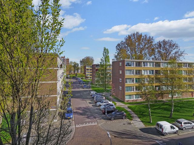 Linnaeusstraat 232, Zaandam