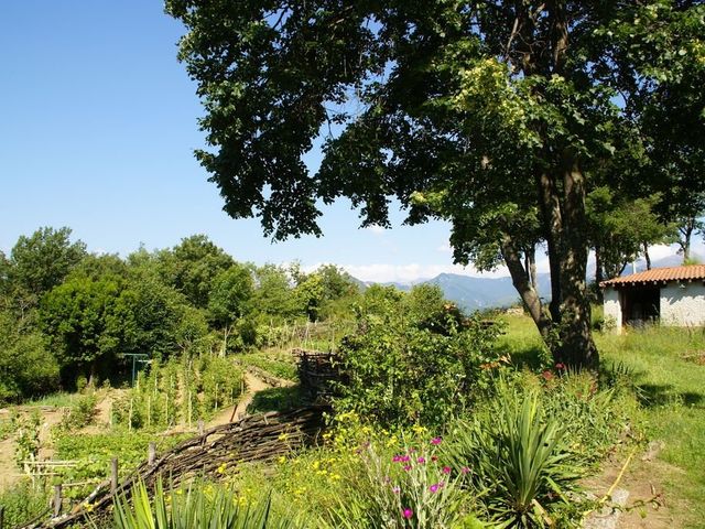 La Forge del Mitg 66260  , Saint-Laurent-de-Cerdans