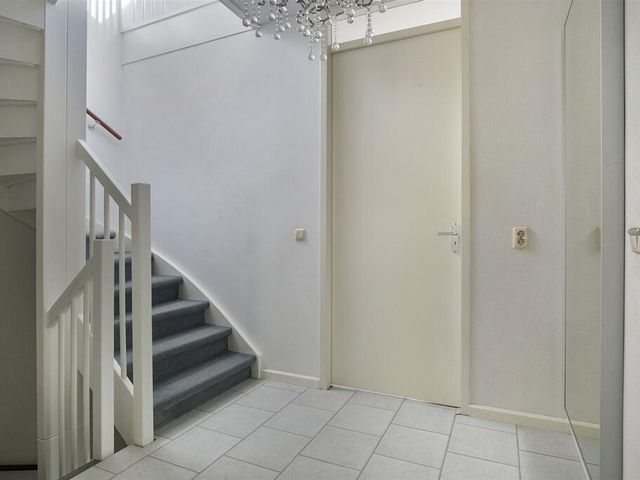 Ranonkelstraat 34, Rotterdam