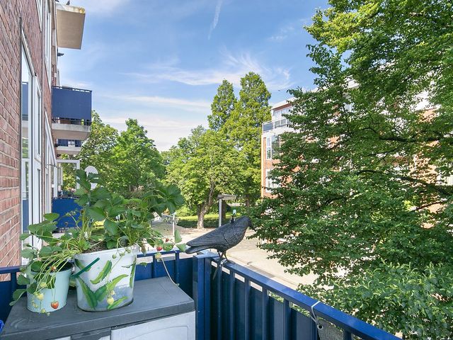 Suiestraat 5B, Rotterdam