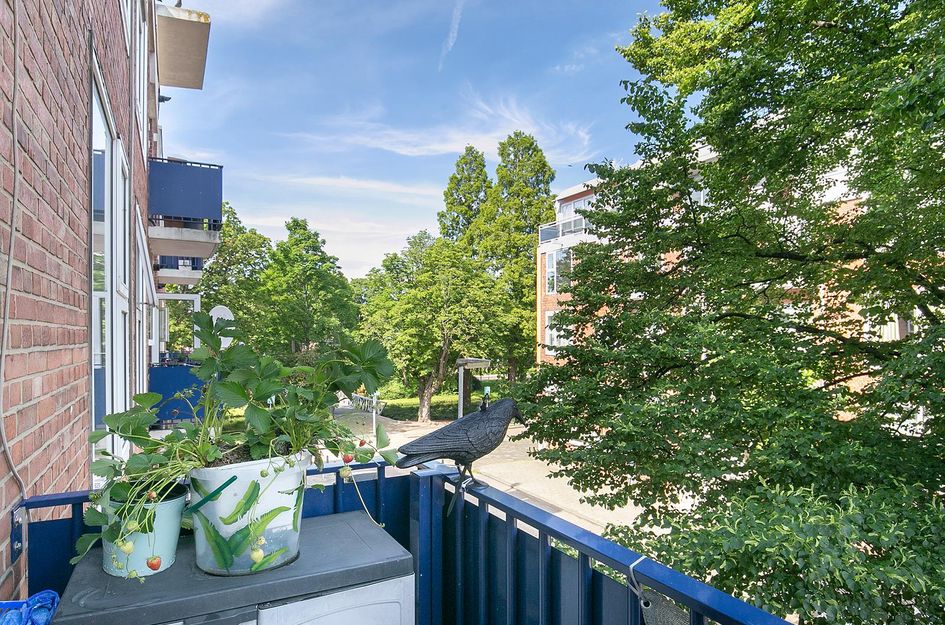 Suiestraat 5B