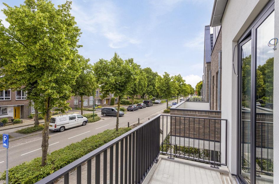 't Dorp 116k