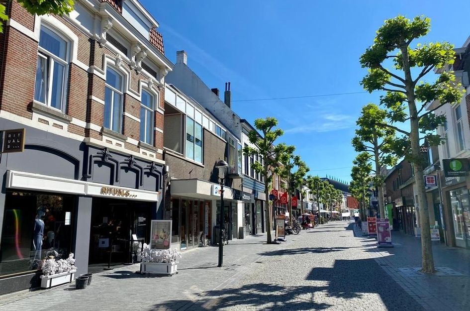 Van der Rijtstraat 