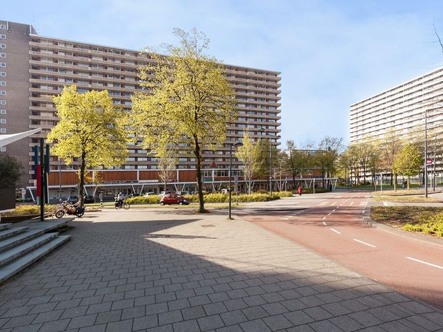 Hendrik Tollensstraat 198, Delft