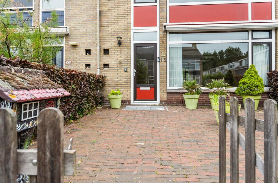 van Raephorststraat 15