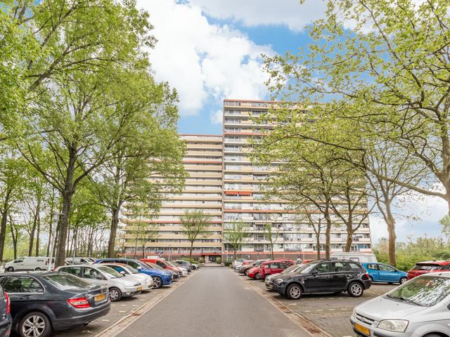 Oost-Dorsch 37, Zaandam