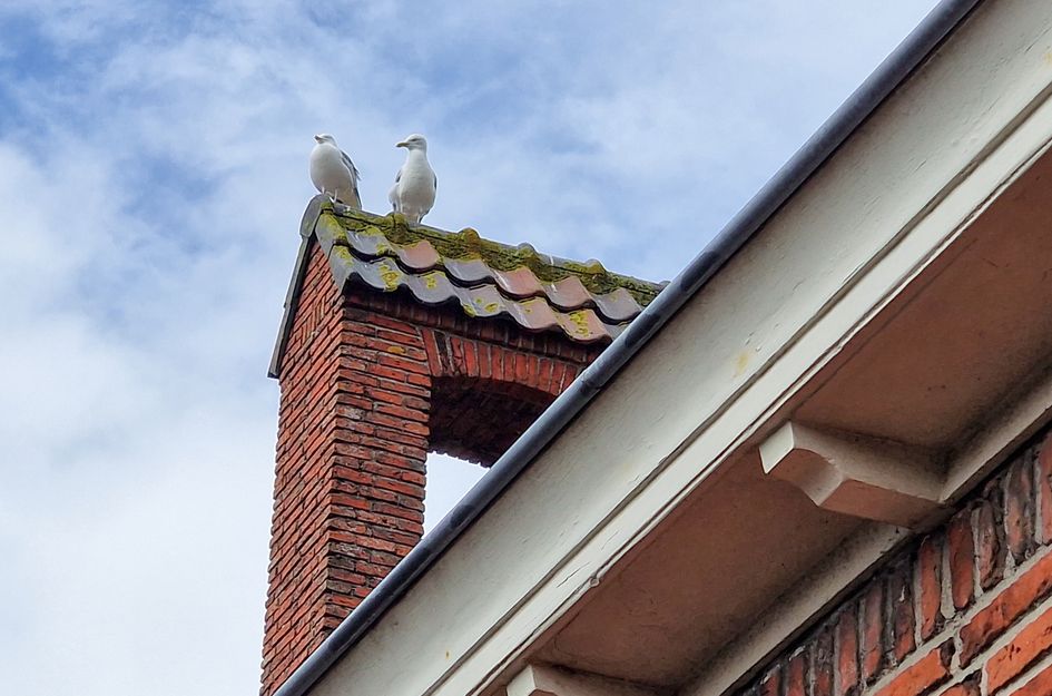 Burgemeester Reedekerstraat 56B