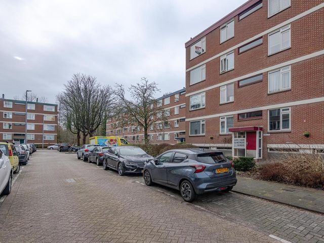 Ruigoord 284, Rotterdam