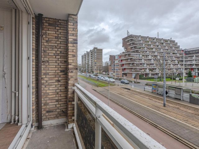 Molenvliet 77, Rotterdam