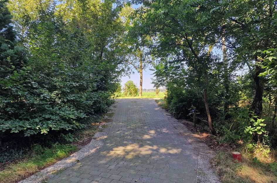 De Stille Wille 90