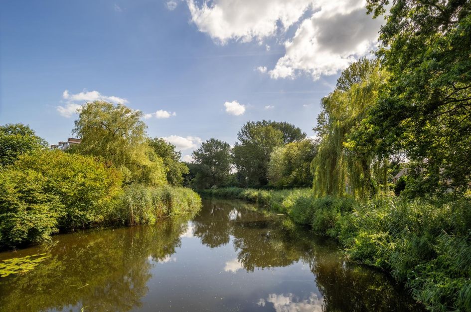 Ringweg-Randenbroek 20D