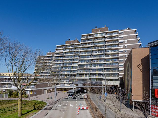 Zuiderterras 3, Rotterdam