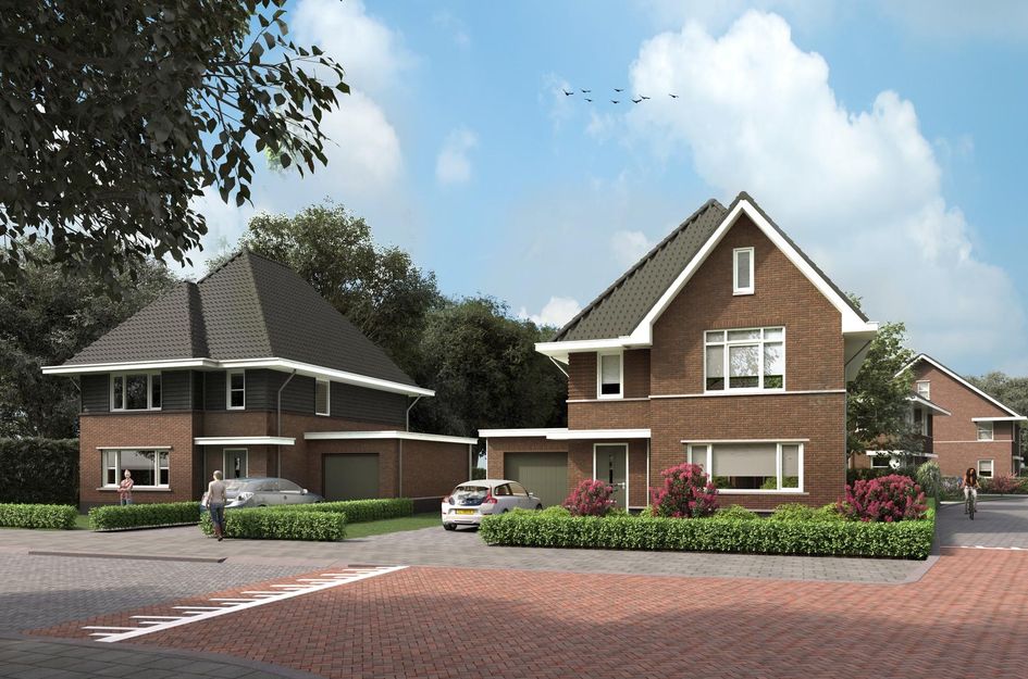 Vrijstaande woningen 