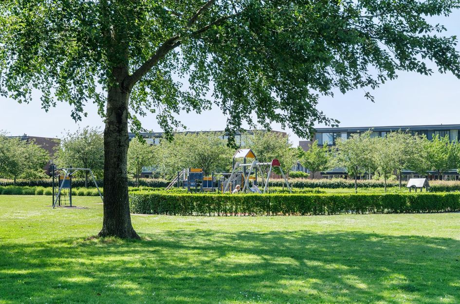 Havenstraat 55