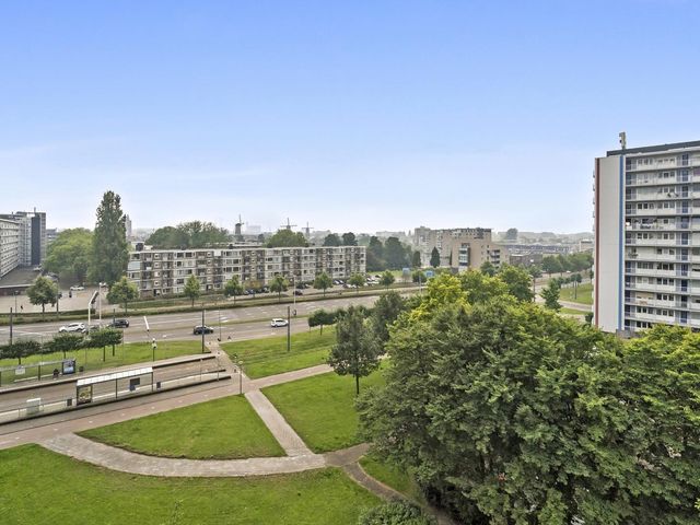 Louis Raemaekersstraat 83, Schiedam