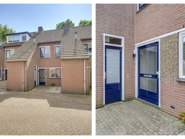 Gagelrijs 22, Rijen