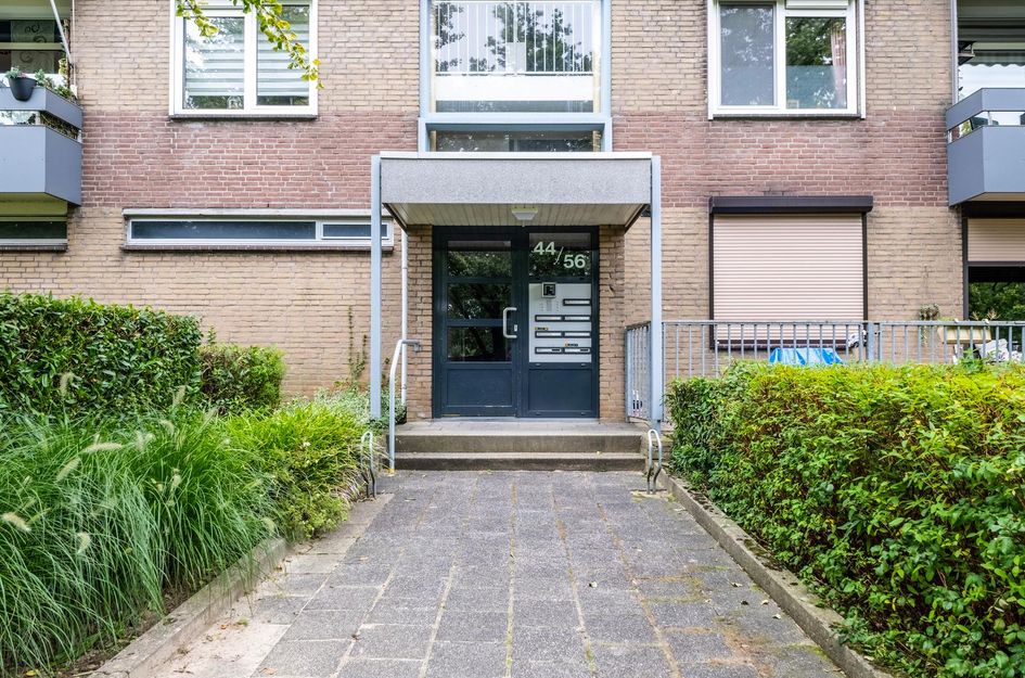 Palmstraat 54