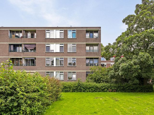 Ruigoord 45, Rotterdam