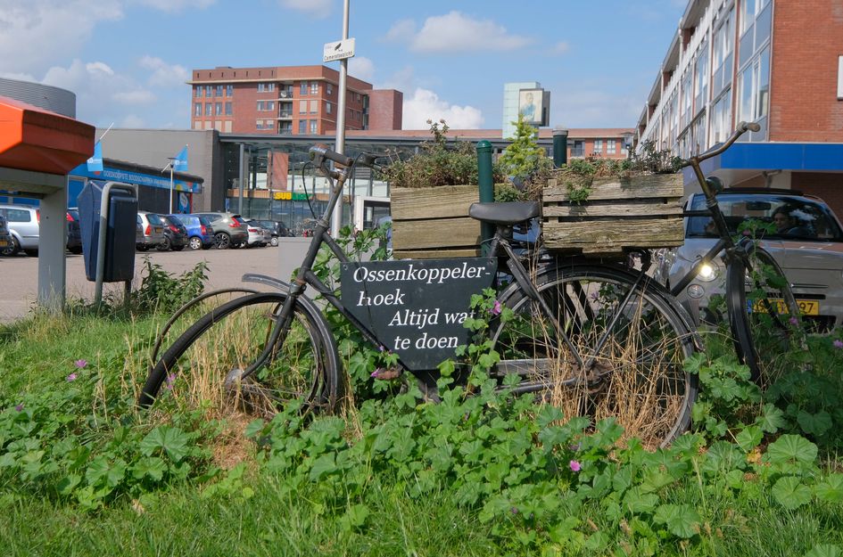 Johan Jongkindstraat 59