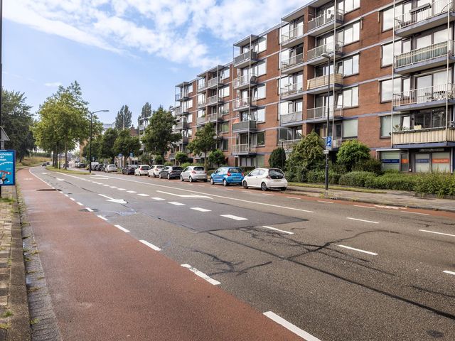 Burgemeester de Raadtsingel 171, Dordrecht