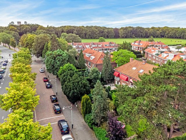 Bezuidenhoutseweg 460, 'S-Gravenhage