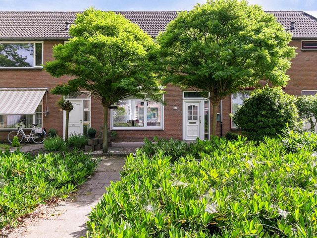 Bellamystraat 62, Terneuzen