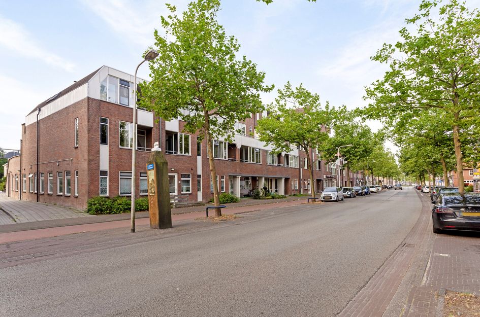 Zuidvliet 390