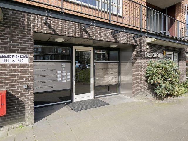 Tamarixplantsoen 163, Heerhugowaard