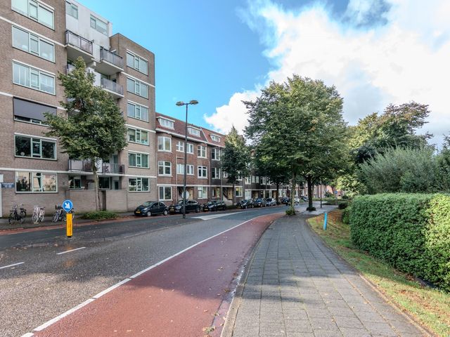 Schiedamseweg 236, Vlaardingen