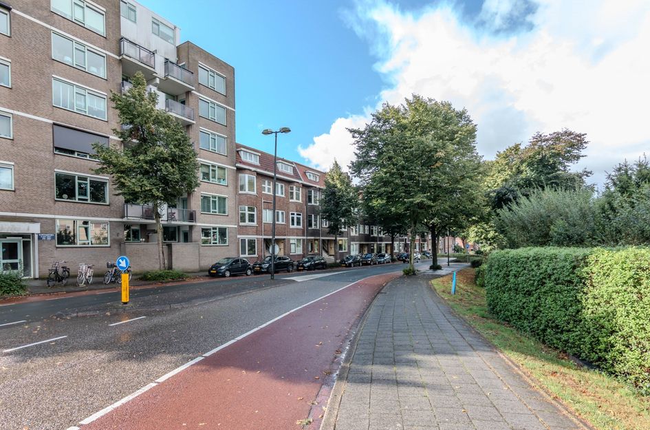 Schiedamseweg 236