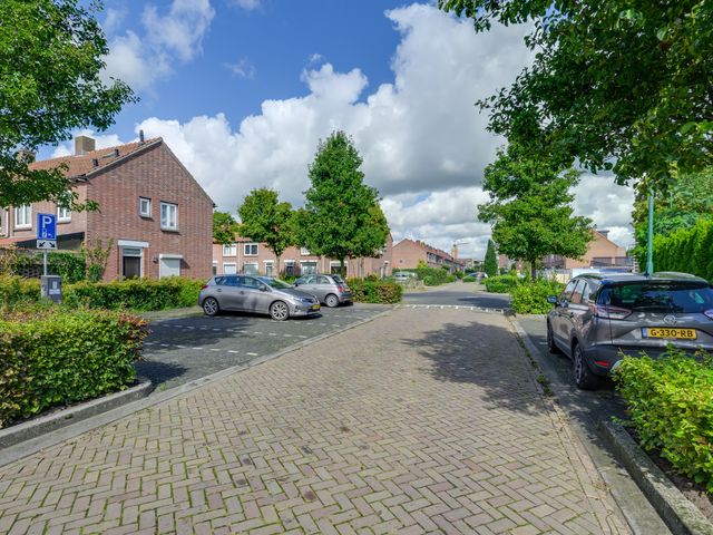 Jan Steenstraat 19, Rijen