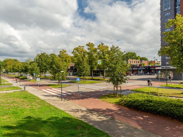 Willem Landréplein 32, Schiedam