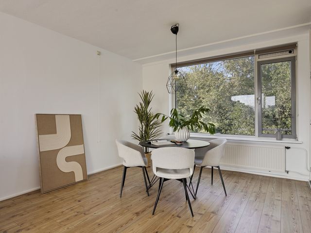 Van Mourik Broekmanstraat 29 3, Amsterdam