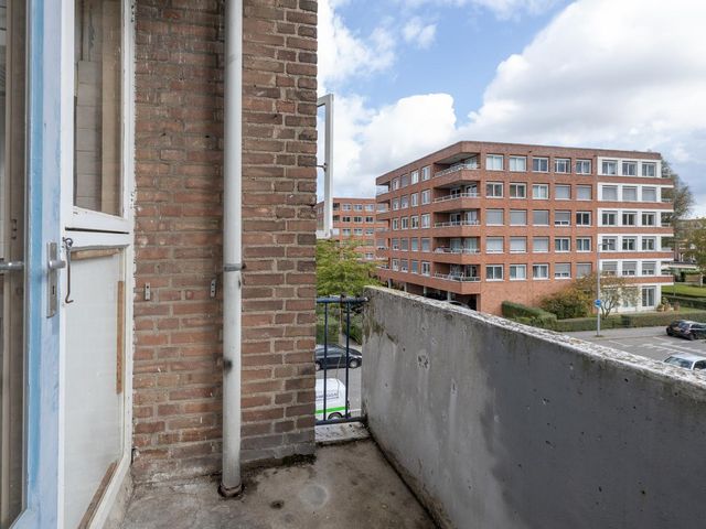 Ellewoutsdijkstraat 156, Rotterdam