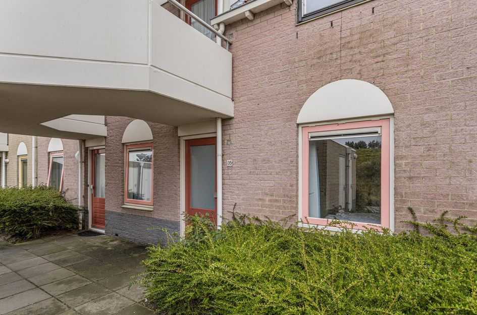 Zaete 35