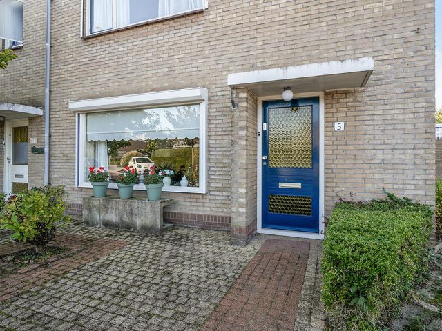 Ruisdaelstraat 5, Goes