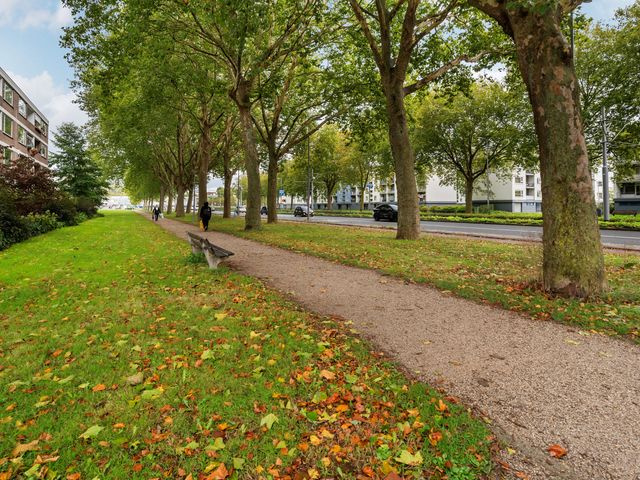 Plotinusstraat 35, Rotterdam