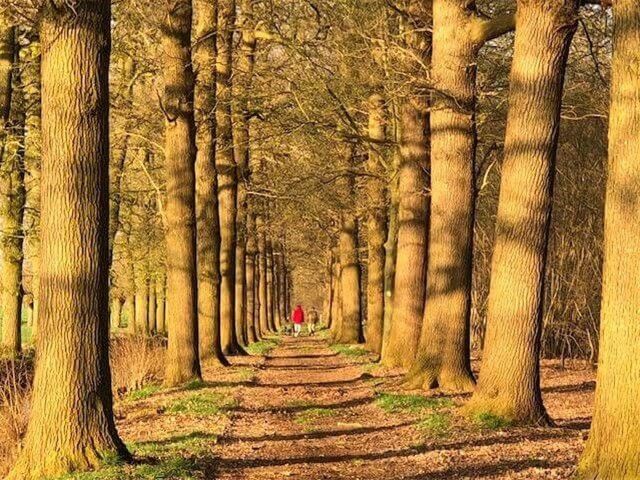 Langbroekerdijk 10, Driebergen-Rijsenburg